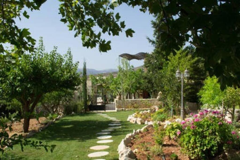 סיטייה Olive House Traditional Villa With Pool מראה חיצוני תמונה
